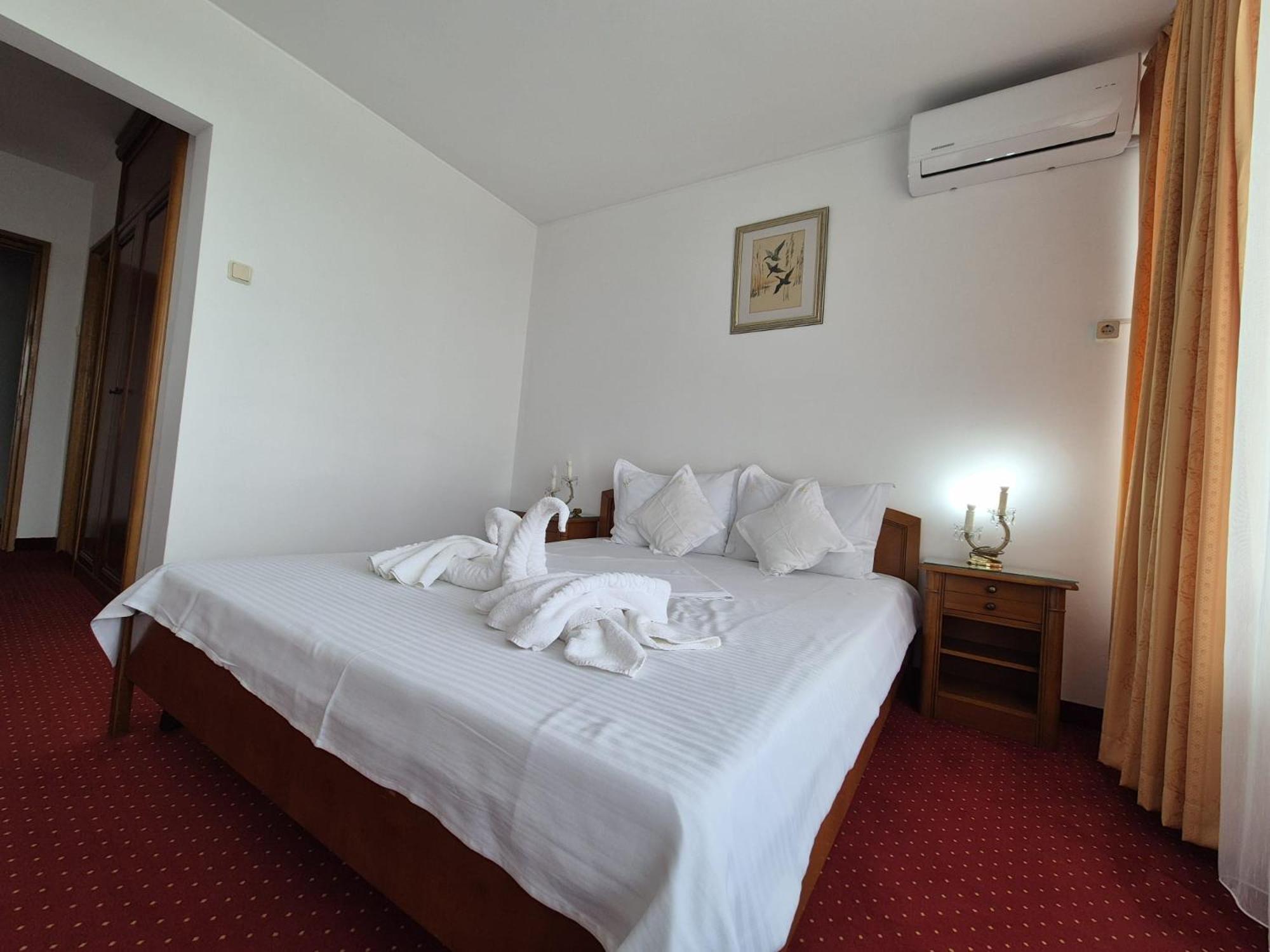 Hotel Scoica 3*